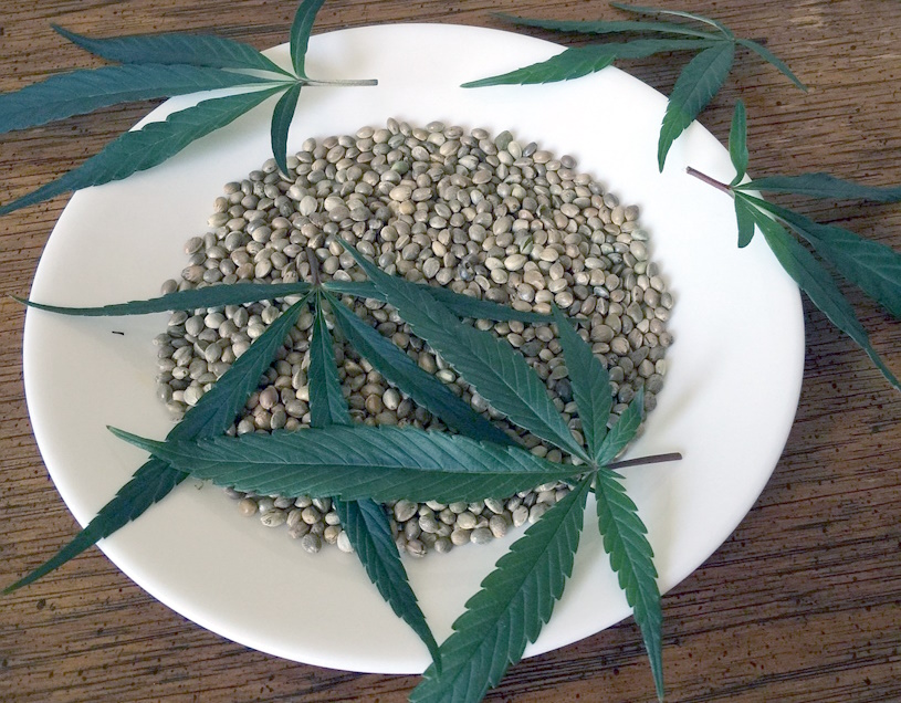 Cannabissamen Cannabissamen