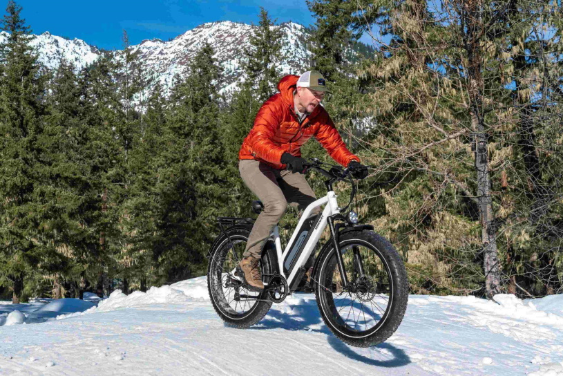 E-Bike Fat Tire