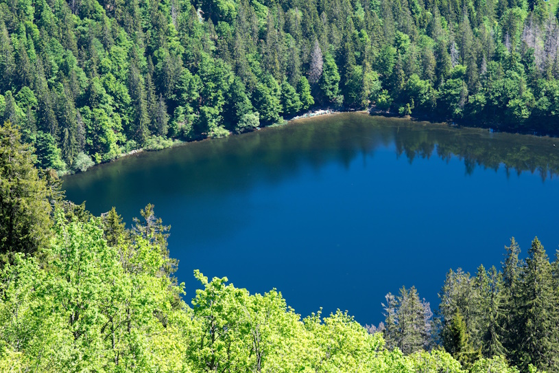 Feldsee Feldsee
