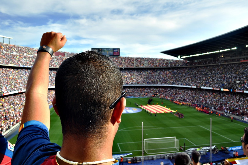 Fuballfan im Stadion