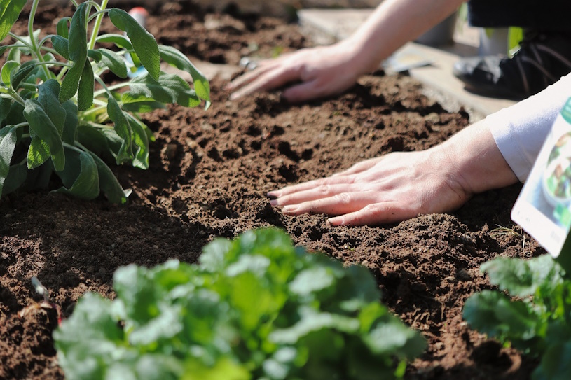 Gartenarbeit