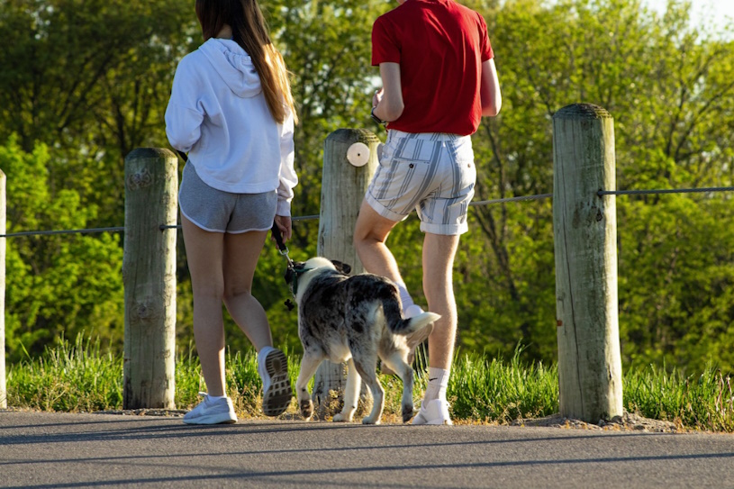Spaziergang mit Hund