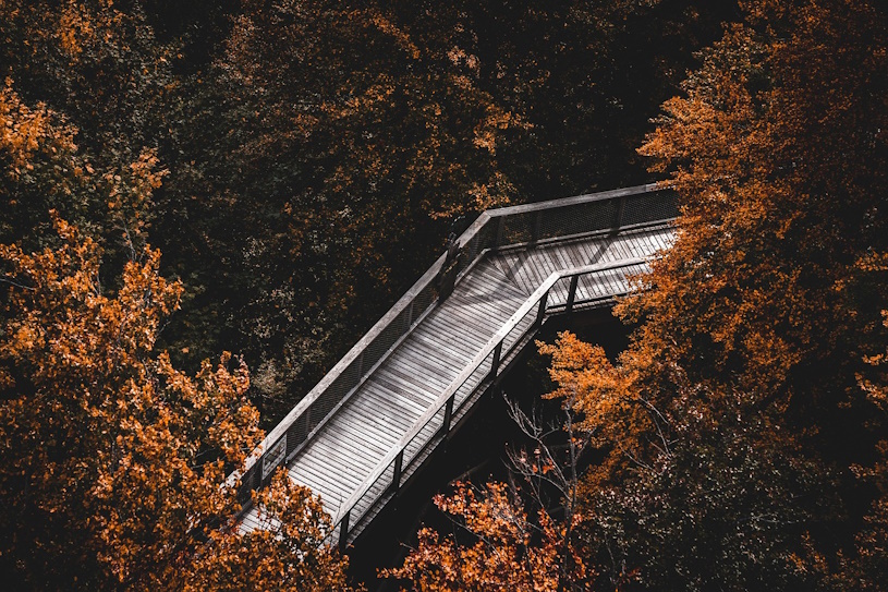Holzbrücke
