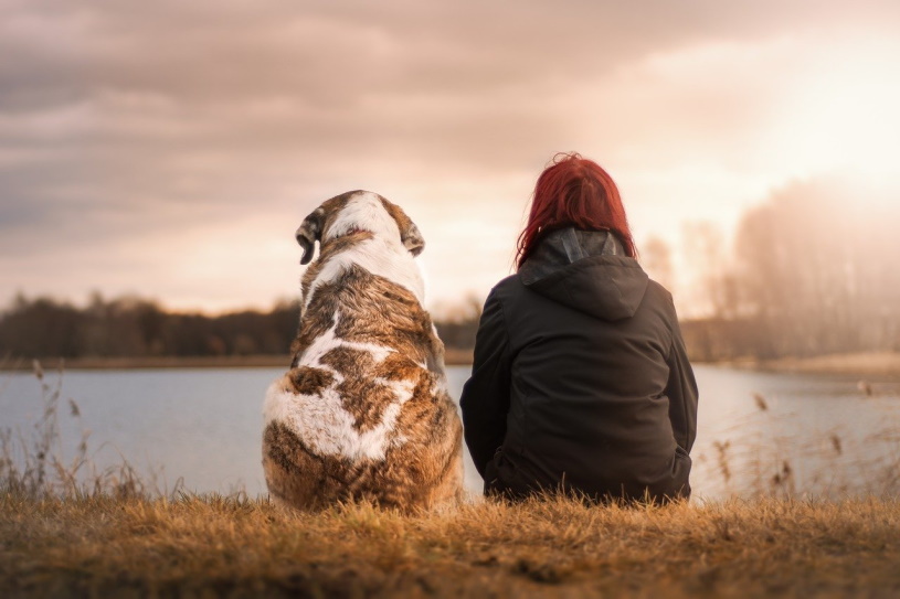 Mensch und Hund