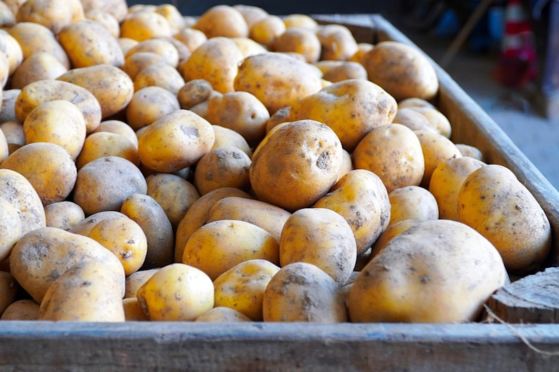 Kartoffeln in Holzkiste