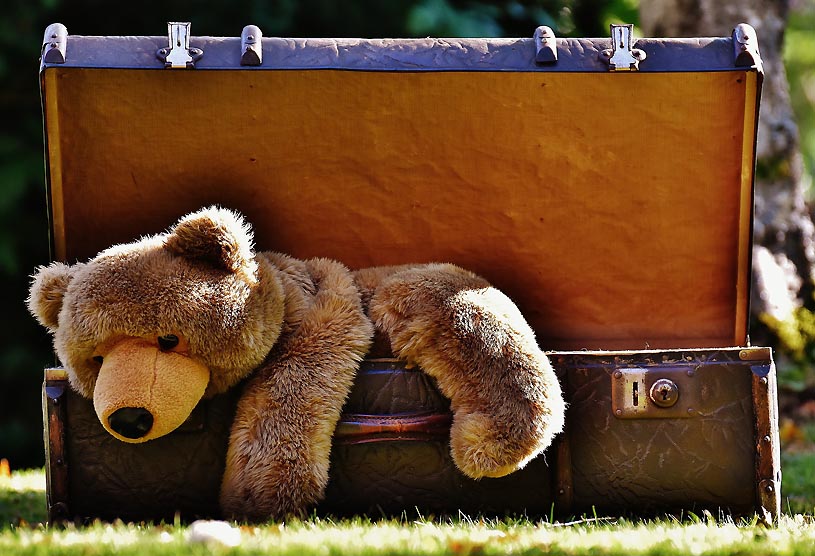 Teddy im Koffer