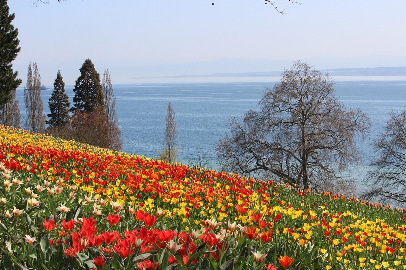 Frhling auf der Insel Mainau