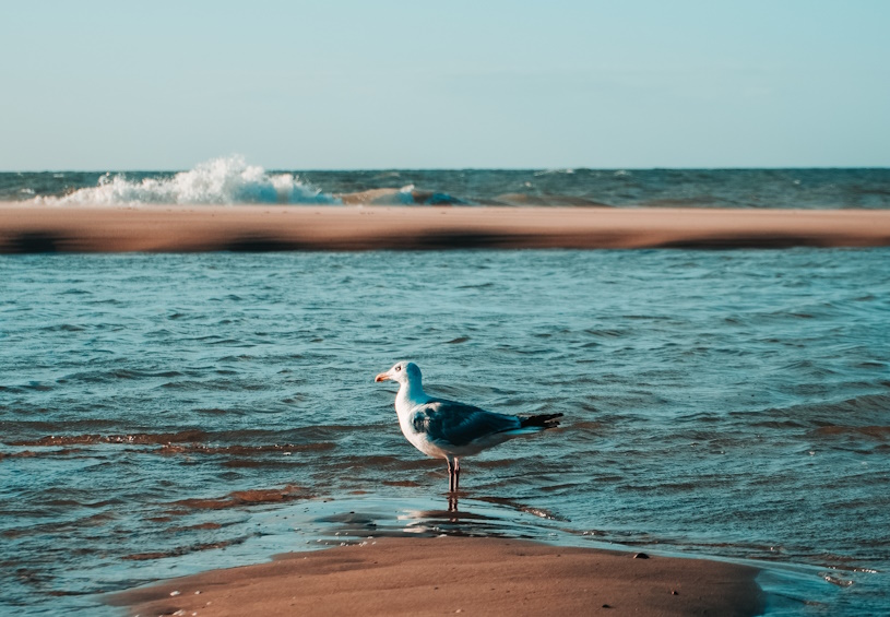 Oostkapelle am Meer