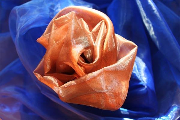 Organza