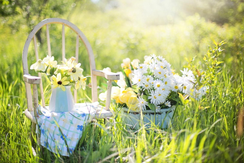 Sommer im Garten