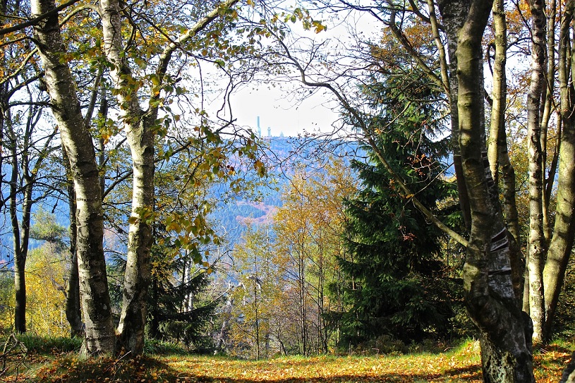 Taunus mit Blick zum Feldberg