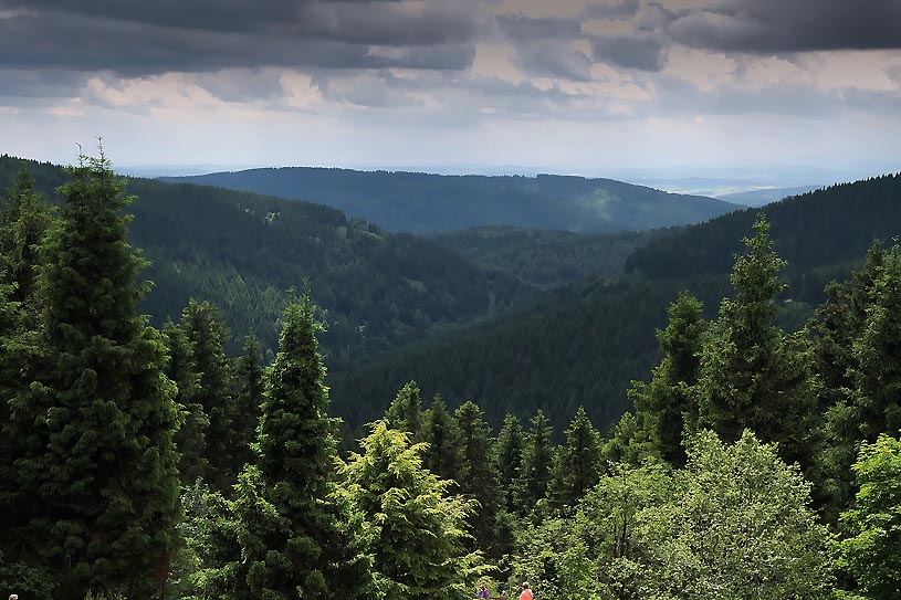 Thringer Wald