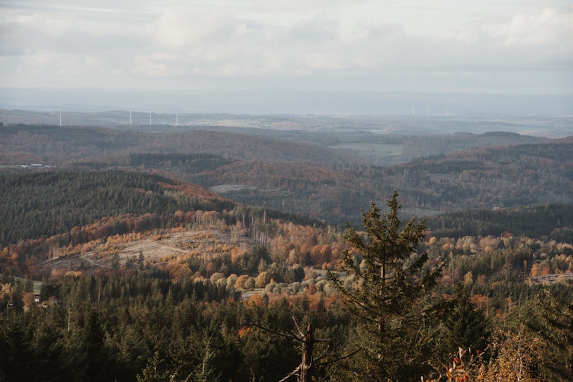 Thüringer Wald Thüringer Wald