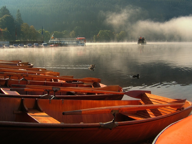 Ruderboote am Titisee