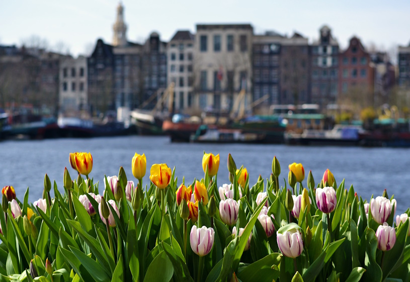 Amsterdam ist der perfekte Urlaubsort in der Nähe