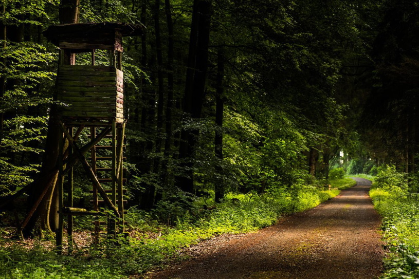 Wanderweg im Westerwald