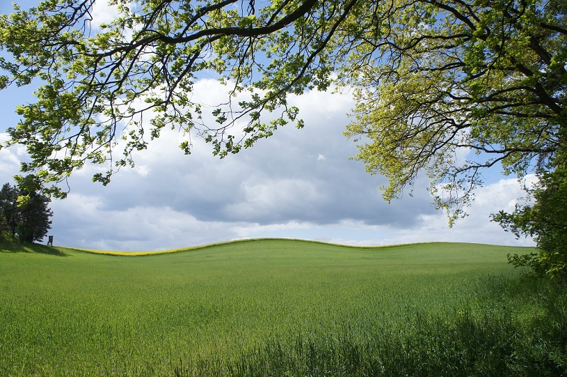 Landschaft in der Uckermark