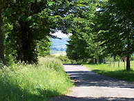 Landschaft bei Angersbach