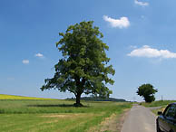 Landschaft bei Angersbach