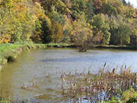 Fischteiche bei Angersbach