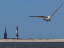 Westturm und neuer Leuchtturm